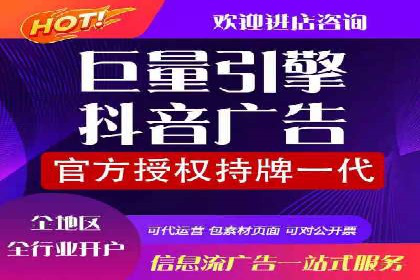 SEM代理助力品牌：案例解析与优化策略